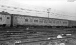 NYC Coach 2909